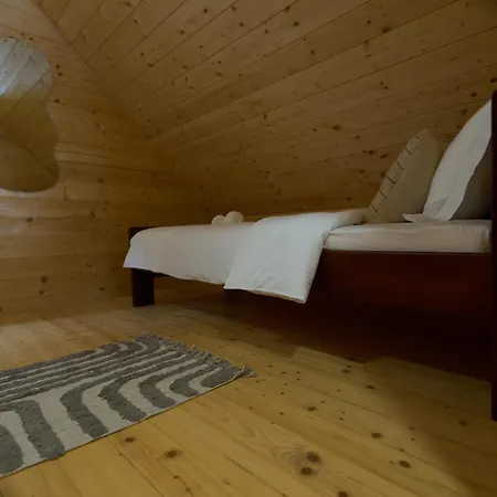 펜션 Pino House Zlatibor-tornik *