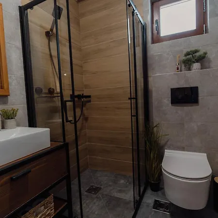 Pino House Zlatibor-tornik Case de vacanță *