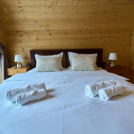 Pino House Zlatibor-tornik Ribnica (Cajetina)