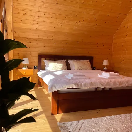Pino House Zlatibor-tornik 別荘 *