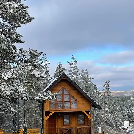 Сasa de vacaciones Pino House Zlatibor-tornik