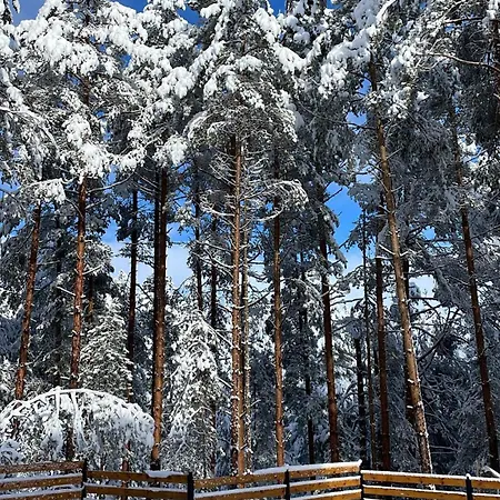 Pino House Zlatibor-tornik