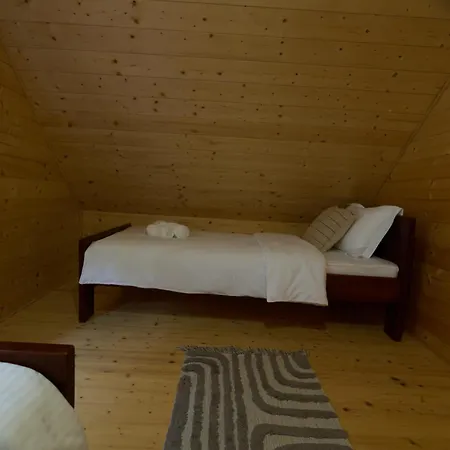 Pino House Zlatibor-tornik Case de vacanță *